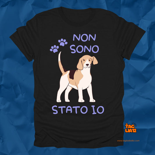 B Non Sono Stato io Tshirt