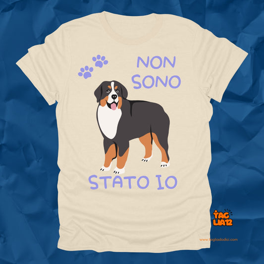 A Non Sono Stato io Tshirt